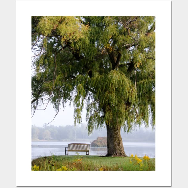 Park bench under the willow Wall Art by iyd39